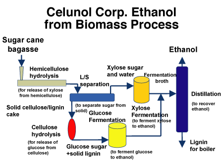 Celunol-Ethanol-Biomas-Process